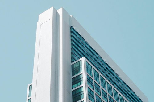 毕业生就业青睐哪些地方 四成应届毕业生期待在新一线城市就业
