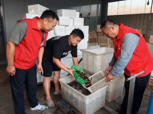 把为民服务延伸至 最后一米 ,山东济宁市鱼台县城乡 两长 作用显著